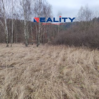 Prodej zemědělské půdy 4 899 m² Gruna, 