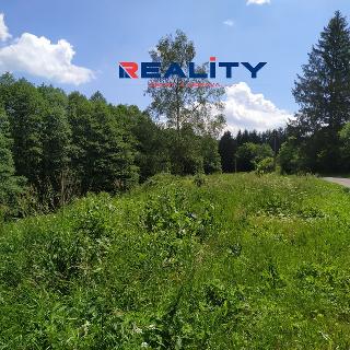 Prodej ostatního pozemku 1 567 m² Borušov