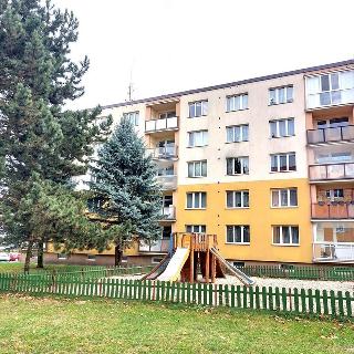 Prodej bytu 3+1 61 m² Nové Strašecí, Křivoklátská