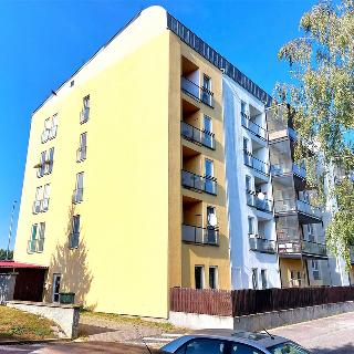 Prodej bytu 1+kk a garsoniéry 31 m² Tmaň