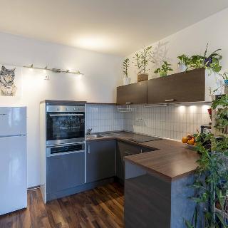 Prodej bytu 2+kk 53 m² Brno, Říčanská