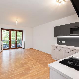 Prodej bytu 3+kk 70 m² Beroun, Palouček