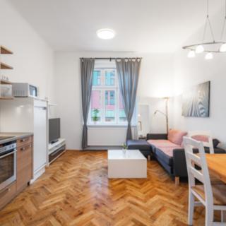 Pronájem bytu 1+1 41 m² Praha
