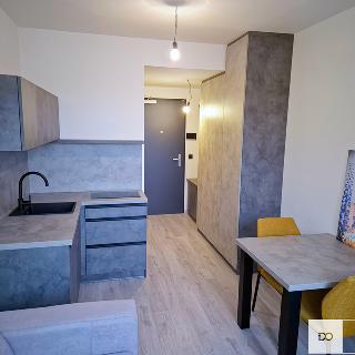 Pronájem bytu 1+kk a garsoniéry 19 m² Hradec Králové, Pražská třída