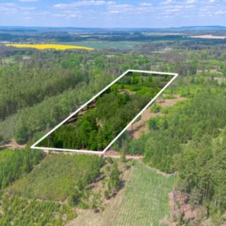 Prodej lesa 79 500 m² Jetětice