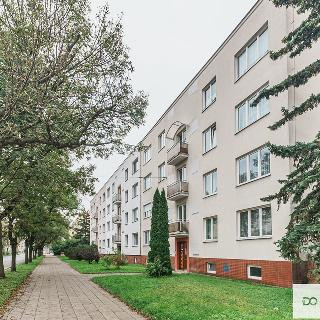 Prodej bytu 3+1 74 m² Hradec Králové, třída SNP