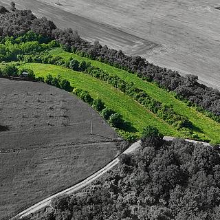 Prodej podílu ostatních pozemků 14560 m² Bechlín