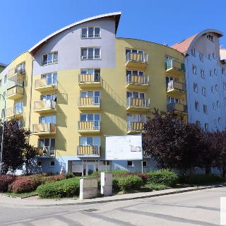 Pronájem bytu 1+kk a garsoniéry 27 m² Jindřichův Hradec, Hvězdná