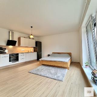 Pronájem bytu 1+kk a garsoniéry 38 m² Roztoky, Jungmannova