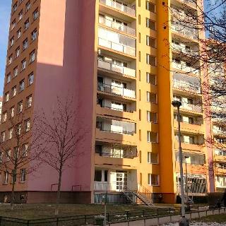 Pronájem bytu 2+kk 48 m² Praha, Pivcova