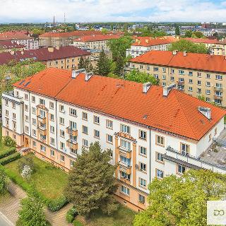 Pronájem bytu 2+1 55 m² Pardubice, Jilemnického