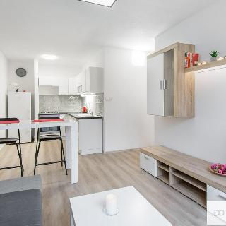 Pronájem bytu 2+kk 40 m² Praha, Přímětická