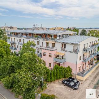 Pronájem bytu 1+kk a garsoniéry 37 m² Hradec Králové, Mrštíkova