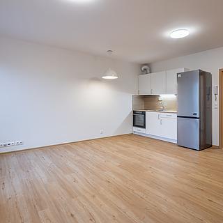 Pronájem bytu 1+kk, garsoniery 42 m&sup2; Praha