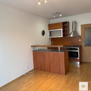 Pronájem bytu 2+kk 44 m² Brno, Moutnická