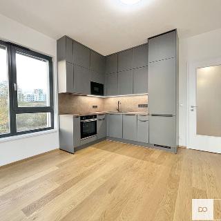 Pronájem bytu 2+kk 59 m² Praha, Hasilova