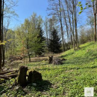 Prodej stavební parcely 3 895 m² Malá Skála, 