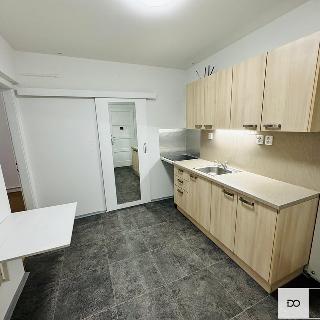 Pronájem bytu 2+1 47 m² Praha, Rejskova