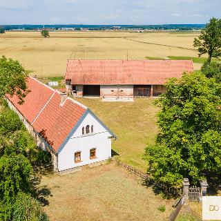 Prodej ostatního komerčního prostoru 215 m² Choteč, Malá Strana