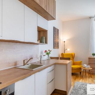 Pronájem bytu 1+kk, garsoniery 25 m² Praha