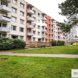 Prodej bytu 1+1 35 m² Písek, třída Přátelství