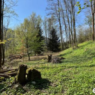 Prodej stavební parcely 3 895 m² Malá Skála, 