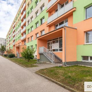 Pronájem bytu 3+1 55 m² Pardubice, Lidická