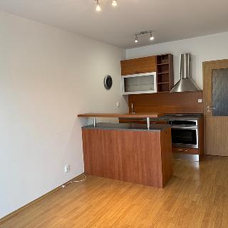 Pronájem bytu 2+kk 44 m² Brno, Moutnická