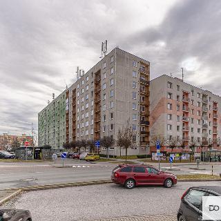 Prodej bytu 3+1 71 m² Dobruška, Orlická