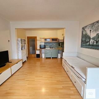 Pronájem bytu 1+kk, garsoniery 43 m² Chýně