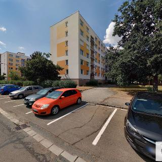 Pronájem bytu 3+1 77 m² Hradec Králové, Selicharova