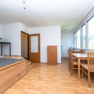 Pronájem bytu 1+kk a garsoniéry 28 m² Praha, Nekvasilova