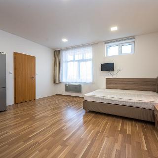 Pronájem bytu 1+kk, garsoniery 45 m² Praha