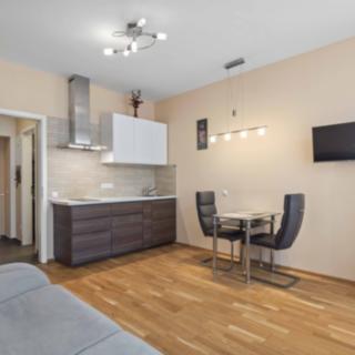 Prodej bytu 1+kk, garsoniery 24 m&sup2; Praha