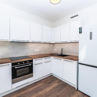 Pronájem bytu 2+kk 55 m² Praha, Kolbenova