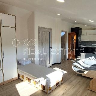 Pronájem bytu 1+kk a garsoniéry 36 m² Milotice, 