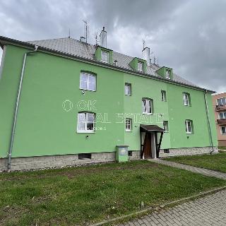 Pronájem bytu 2+kk 43 m² Planá, Wolkerova