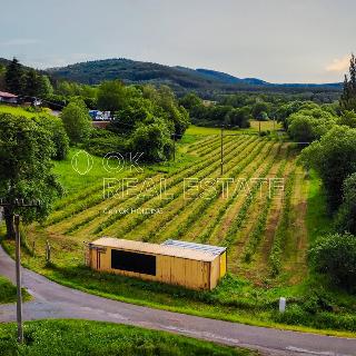 Prodej zemědělské půdy 10000 m² Ohrazenice