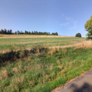 Prodej zemědělské půdy 19199 m&sup2; Trpín