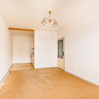 Prodej bytu 2+kk 40 m² Kladno, Polská