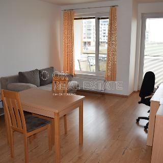 Pronájem bytu 1+kk a garsoniéry 36 m² Praha, Kryšpínova