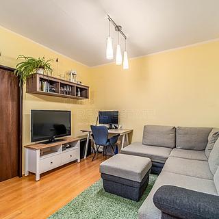 Prodej bytu 3+1 57 m&sup2; Planá