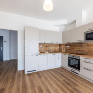 Pronájem bytu 2+kk 65 m² Plzeň