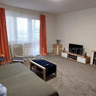 Pronájem bytu 3+1 80 m² Hodonín, Lesní