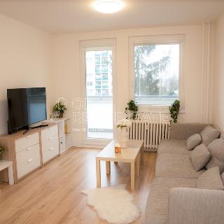 Pronájem bytu 3+1 69 m² Praha, Valentova