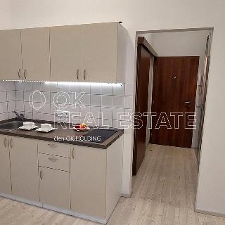 Pronájem bytu 1+kk a garsoniéry 25 m² Brno, Rakovecká