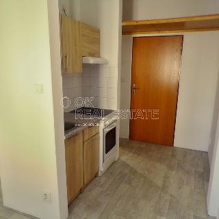 Pronájem bytu 1+kk a garsoniéry 25 m² Nový Bor, B. Egermanna