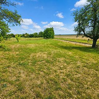 Prodej stavební parcely 4308 m&sup2; Dyjákovice