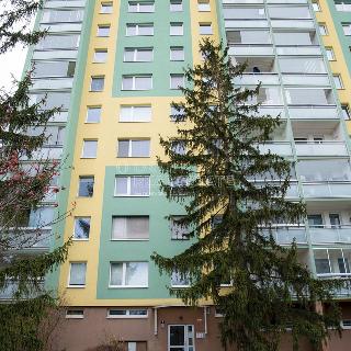 Pronájem bytu 3+1 69 m² Praha, Valentova