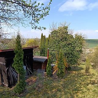 Prodej zahrady 1872 m&sup2; Soběchleby